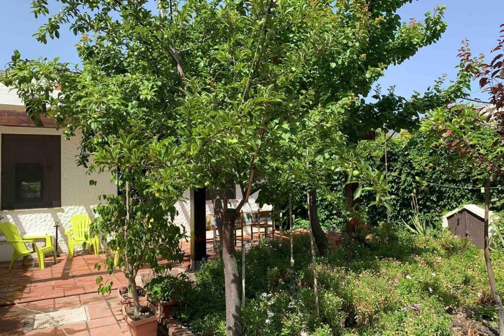 Willa Casa Tranquilla A Pochissimi Passi Dal Mare Sant'Andrea  Zewnętrze zdjęcie