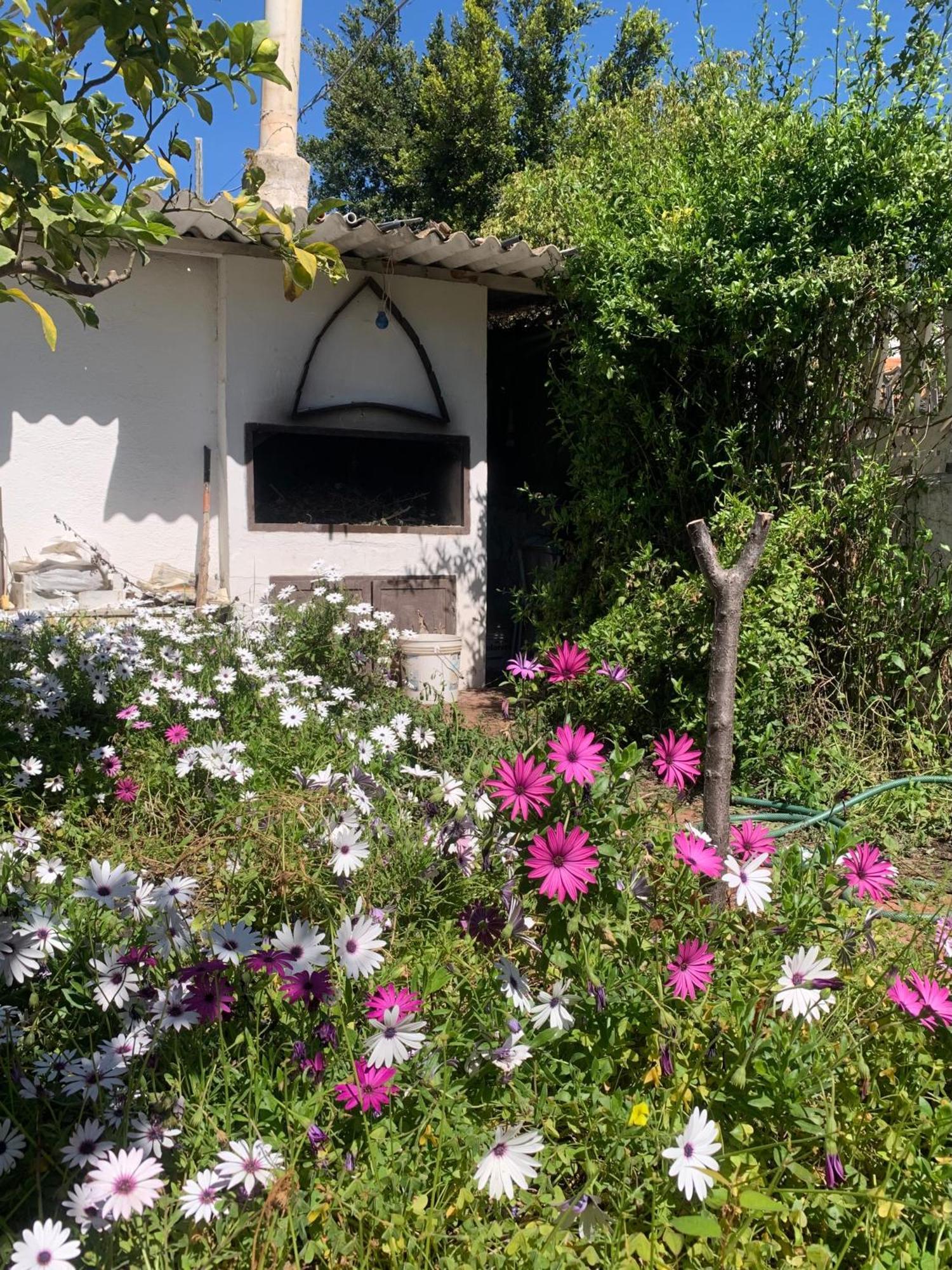 Willa Casa Tranquilla A Pochissimi Passi Dal Mare Sant'Andrea  Zewnętrze zdjęcie
